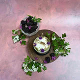 Black Current - Medium Soy Candles with Blackberry